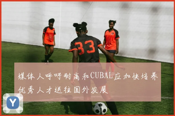 媒体人呼吁耐高和CUBAL应加快培养优秀人才送往国外发展