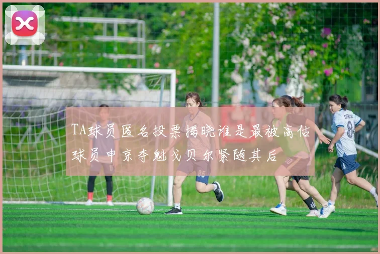 TA球员匿名投票揭晓谁是最被高估球员申京夺魁戈贝尔紧随其后