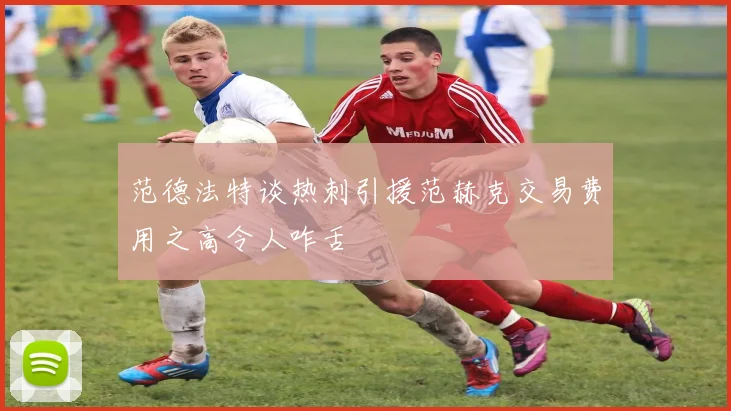 范德法特谈热刺引援范赫克交易费用之高令人咋舌